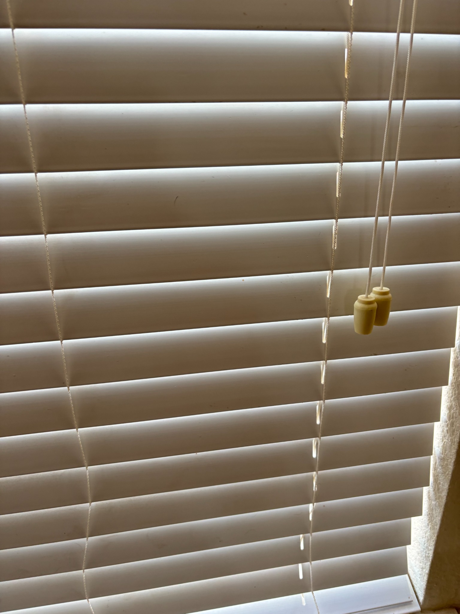 After: window blinds cleaned
