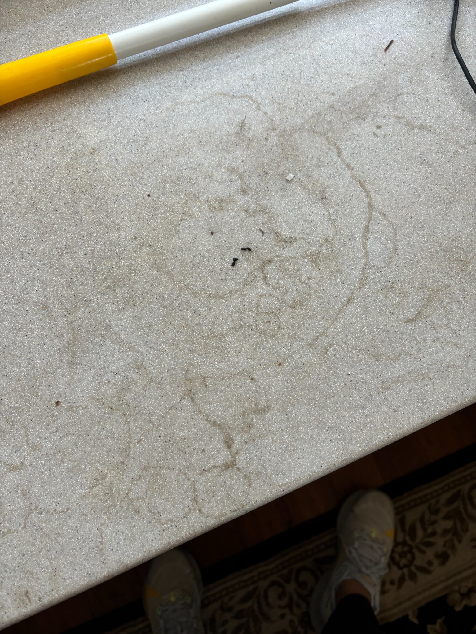 Before: countertop with marks