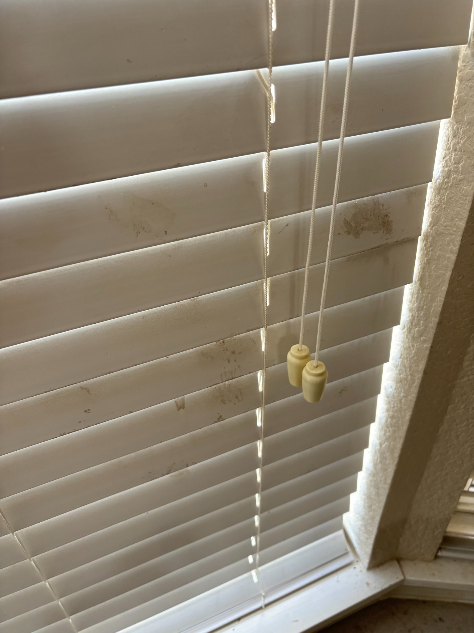 Before: window blinds with dust and marks
